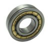 PFI F45818 Bearing